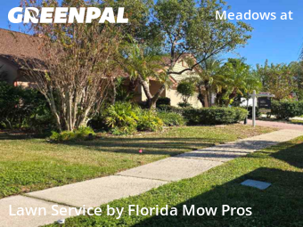 Grass Cutting nearby Tampa, FL, 