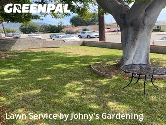 Lawn Cutting nearby Burbank, CA, 