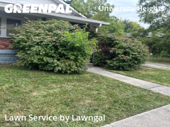 Lawn Cut nearby Indianapolis, PA, 