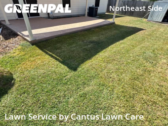 Lawn Cutting nearby Converse, TX, 