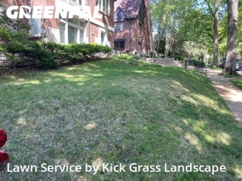 Grass Cut nearby Clayton, MO, 