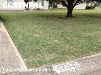 Lawn Mowing Service nearby Bessemer, AL, 