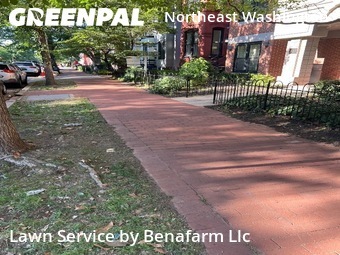 Lawn Mowing nearby Washington, MD, 