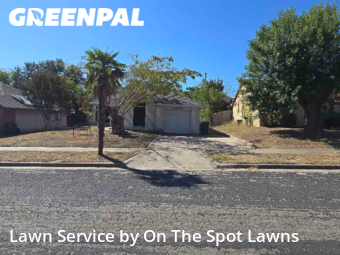Lawn Cut nearby Killeen, TX, 