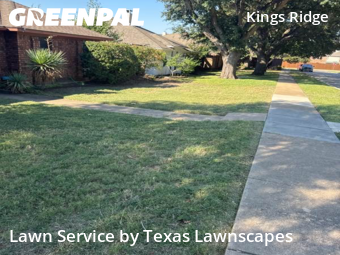 Lawn Maintenancein Frisco,75035,Grass Cut by Texas Lawnscapes, work completed in Nov , 2025