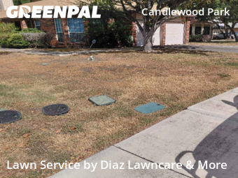 Grass Cut nearby San Antonio, TX, 