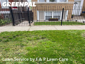 Grass Cutting nearby Chicago, IL, 