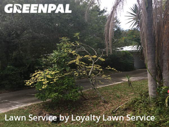 Grass Cut nearby Fort Pierce, FL, 