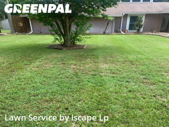 Lawn Mow nearby Lakeland, FL, 