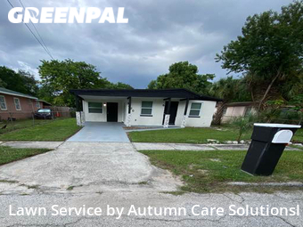 Lawn Cut nearby Tampa, FL, 