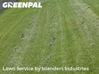 Grass Cutting nearby Baton Rouge, LA, 