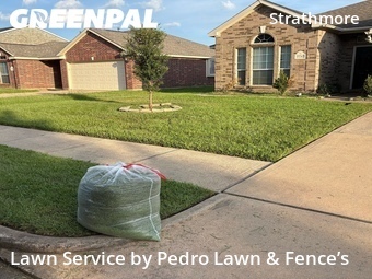 Lawn Mowing nearby Katy, TX, 