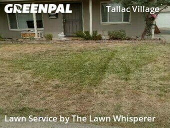Lawn Maintenance nearby Sacramento, CA, 