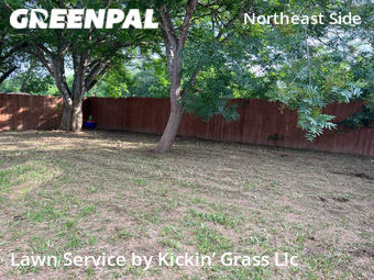 Lawn Care nearby San Antonio, TX, 