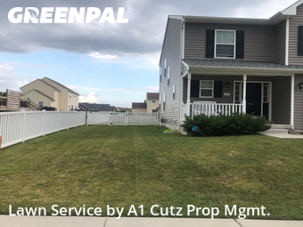 Yard Mowing nearby Smyrna, DE, 