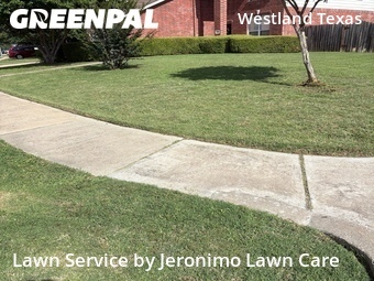 Grass Cut nearby Fort Worth, TX, 