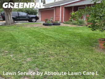 Work completed by local-lawn-maintenance-contractors-in-Davis-CA