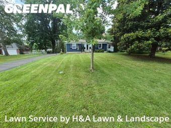 Grass Cut nearby Louisville, KY, 