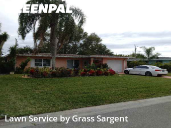 Lawn Mowing Servicein Dunedin,34698,Yard Mowing by Grass Sargent, work completed in Feb , 2026