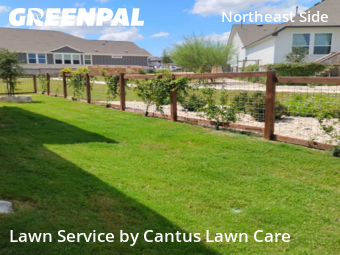 Grass Cuttingin Schertz,78154,Lawn Service by Cantus Lawn Care , work completed in Dec , 2025