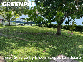 Grass Cutting nearby Pembroke Pines, FL, 