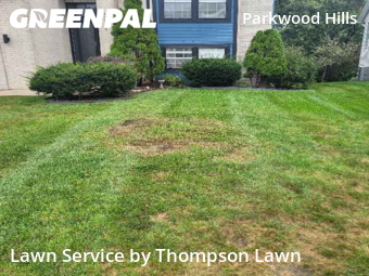 Lawn Mowingin Olathe,66062,Lawn Maintenance by Thompson Lawn, work completed in Nov , 2025