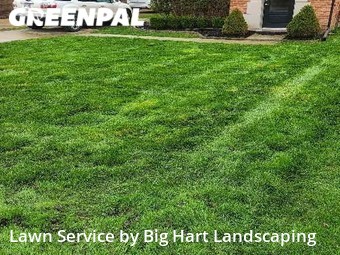 Grass Cut nearby Harrison Township, MI, 