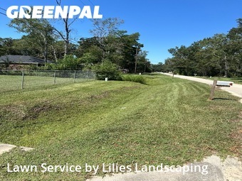 Lawn Carein Porter,77365,Lawn Care Service by Lilies Landscaping, work completed in Nov , 2025