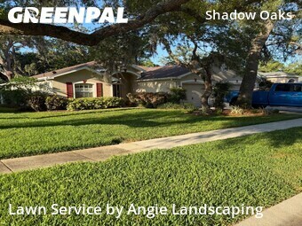 Grass Cut nearby Holiday, FL, 