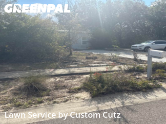 Grass Cut nearby Tampa, FL, 