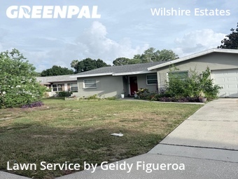 Lawn Cut nearby Dunedin, FL, 