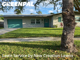 Lawn Cut nearby Brandon, FL, 