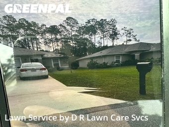 Grass Cut nearby Palm Coast, FL, 