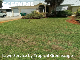 Yard Cutting nearby Port Charlotte, FL, 