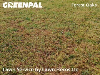 Lawn Care Service nearby Greensboro, NC, 