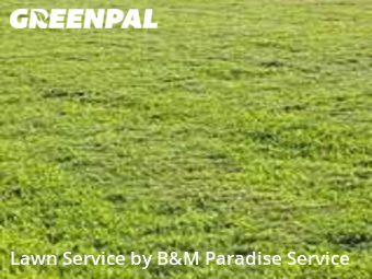 Lawn Cut nearby Ocoee, FL, 