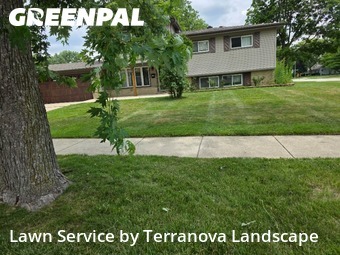 Yard Work in Addison, 60101, Grass Services by Terranova Landscape, work completed in Nov , 2025