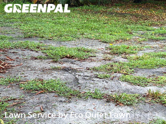 Lawn Care Service nearby Fort Lauderdale, FL, 