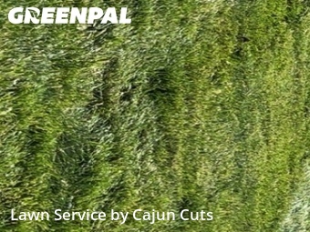 Yard Mowing nearby Murfreesboro, TN, 