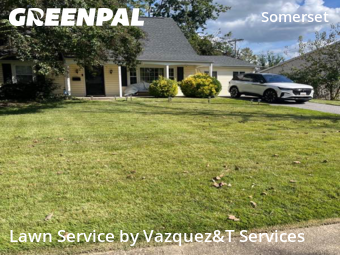 Yard Maintenance in Bowie, 20715, Property Maintenance by Vazquez&T Services, work completed in Nov , 2025