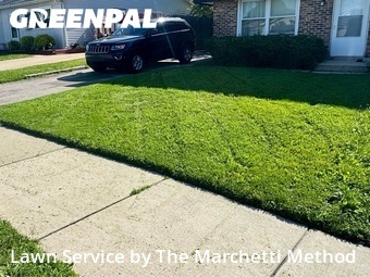 Lawn Mow nearby North Aurora, IL, 