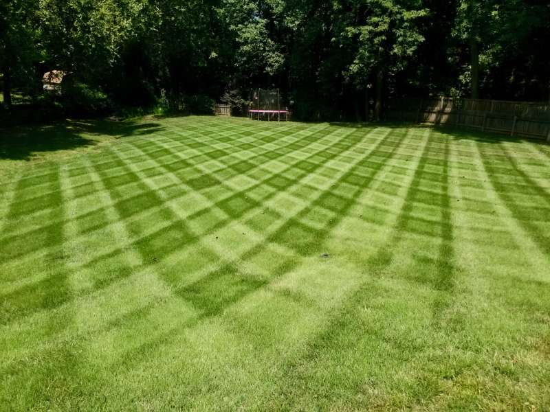 Inspiring Landscape Lawn Care Services in Colorado Springs, CO