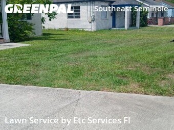 Lawn Cut nearby Tampa, FL, 