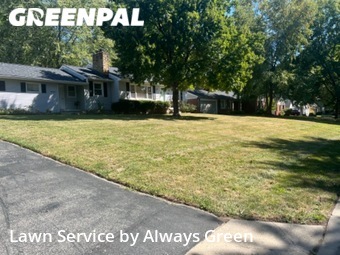 Grass Cutting nearby Roeland Park, MO, 