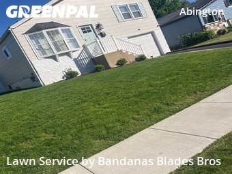 Lawn Mow nearby Roslyn, PA, 