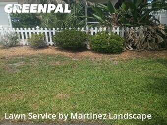 Grass Cutting nearby The Villages, FL, 