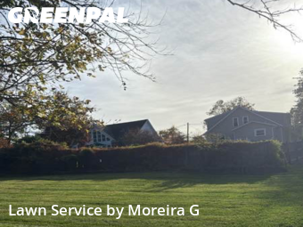 Yard Grooming in Towson, 21286, Grass Cutting by Moreira G, work completed in Nov , 2025