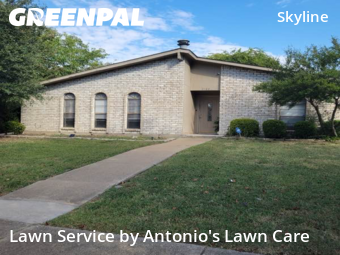 Lawn Maintenancein Mesquite,75149,Yard Mowing by Antonio's Lawn Care, work completed in Nov , 2025