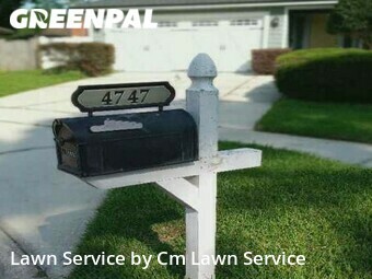 Grass Cut nearby Jacksonville, FL, 