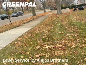 Grass Cutin Evanston,60202,Lawn Maintenance by Alejos Brothers, work completed in Jan , 2026